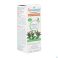 Puressentiel Eo Kruidnagel Bio Expert 5ml