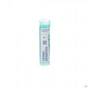 Calcarea Phosphorica 30K gr 4G Boiron - Detail 1