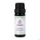 Sjankara Marrakesh Synergie 11ml