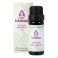Sjankara Marrakesh Synergie 11ml