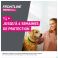 Frontline Protect Spot On Opl Hond 10-20kg Pipet 3