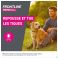 Frontline Protect Spot On Opl Hond 5-10kg Pipet 3