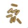 Kapparest Biotics Nf Caps 180