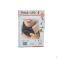 Cameleone Minerve Noir M 1 Q05016