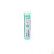 Carbo Vegetabilis 30K gr 4G Boiron - Detail 1