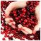 Lucovitaal Cranberry X-tra Forte Caps 60