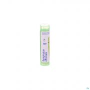Symphytum Officinale 5Ch gr 4G Boiron - Detail 1