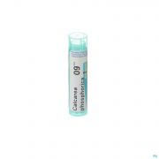 Calcarea Phosphorica 9Ch gr 4G Boiron - Detail 1