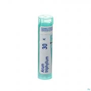 Boiron Unda granules Arum Triphyllum 30 K - Vue détail 1