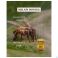 Melapi Miel Eucalyptus Dur 500g 5014 Revogan