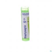 Staphysagria 5Ch gr 4G Boiron - Detail 1
