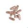 Immunozol Biotics Caps 60