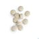 Cytozyme Pan Biotics Comp 90