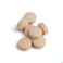Biotics C Plus Comp 100x500mg Nf