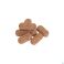 Pneumazyme Biotics Comp 100