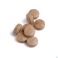 Renal Plus Biotics Comp 180