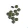 Porphyra Zyme Biotics Comp 90
