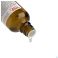 Symbioflor 1 Symbiopharm Gutt 50ml