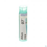 Boiron Unda granules Allium Cepa 7 Ch - Vue détail 1