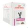 Royal Canin Cat Renal Beef Pouch Wet 12x85g