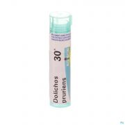 Dolichos Pruriens 30K gr 4G Boiron - Detail 1