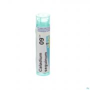 Caladium Seguinum 9Ch gr 4G Boiron - Detail 1