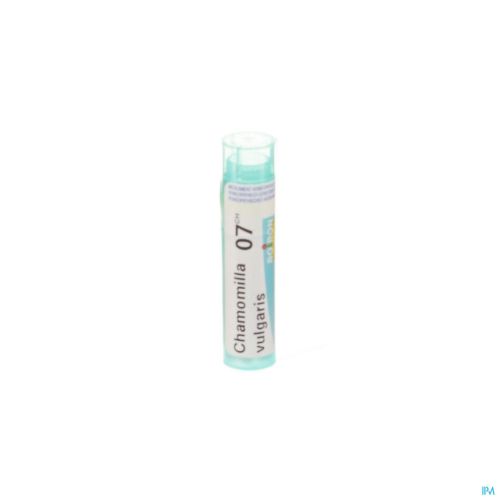 Chamomilla Vulgaris 7ch Gr 4g Boiron