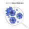 Klorane Visage Bleuet Demaquillant Yeux 100ml