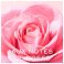 Very Rose Smeuige Reinigingsmelk 200ml Nf