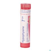 Hypophysine 7ch Gr 4g Boiron