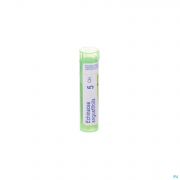 Boiron Unda granules Echinacea Angustifolia 5 Ch - Vue détail 1