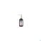 Ducray Anaphase Neoptide Exp.serum Prodens. 2x50ml