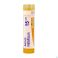 Aurum Metallicum 15ch Gr 4g Boiron