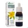 Soria Turnera Diffusa Xxi Extr.glyc 50ml