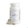 Ips Biotics Caps 90x600mg