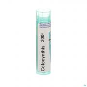 Colocynthis 200K gr 4G Boiron - Detail 1