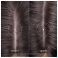 Klorane Capil. Sh Bar Cederappel 80g