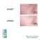 Klorane Visage Menthe Aquatique Masque Stick 25g