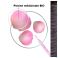 Klorane Capil. Ap/sh Pivoine Bio 150ml