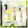 Klorane Lichaam Douchegel Zeste Cistrusvr.200ml Nf