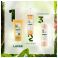 Klorane Corps Douche Cr Frangipanier 200ml Nf