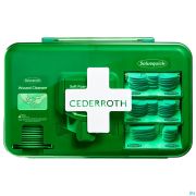 Salvequick Dispenser Soin Plaie Bleu