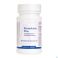Bromelain Plus Biotics Comp 100