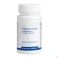 Porphyra Zyme Biotics Comp 90