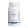 Beta Plus Biotics Comp 90