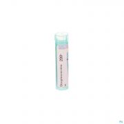 Boiron Unda granules Streptococcinum 200 K - Vue détail 1