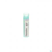 Thymuline 7Ch gr 4G Boiron - Detail 1