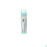 Rhus Toxicodendron 6K gr 4G Boiron - Detail 1