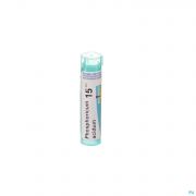 Phosphoricum Acidum 15Ch gr 4G Boiron - Detail 1