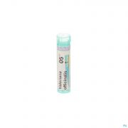 Valeriana Officinalis 5Ch gr 4G Boiron - Detail 1